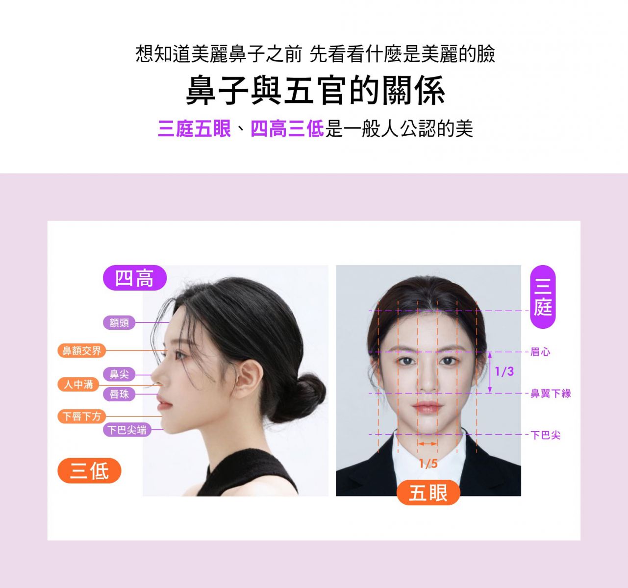 Miracle Thread Misko 提美拉鼻雕想知道美麗鼻子之前 先看看什麼是美麗的臉 鼻子與五官的關係 三庭五眼、四高三低是一般人公認的美